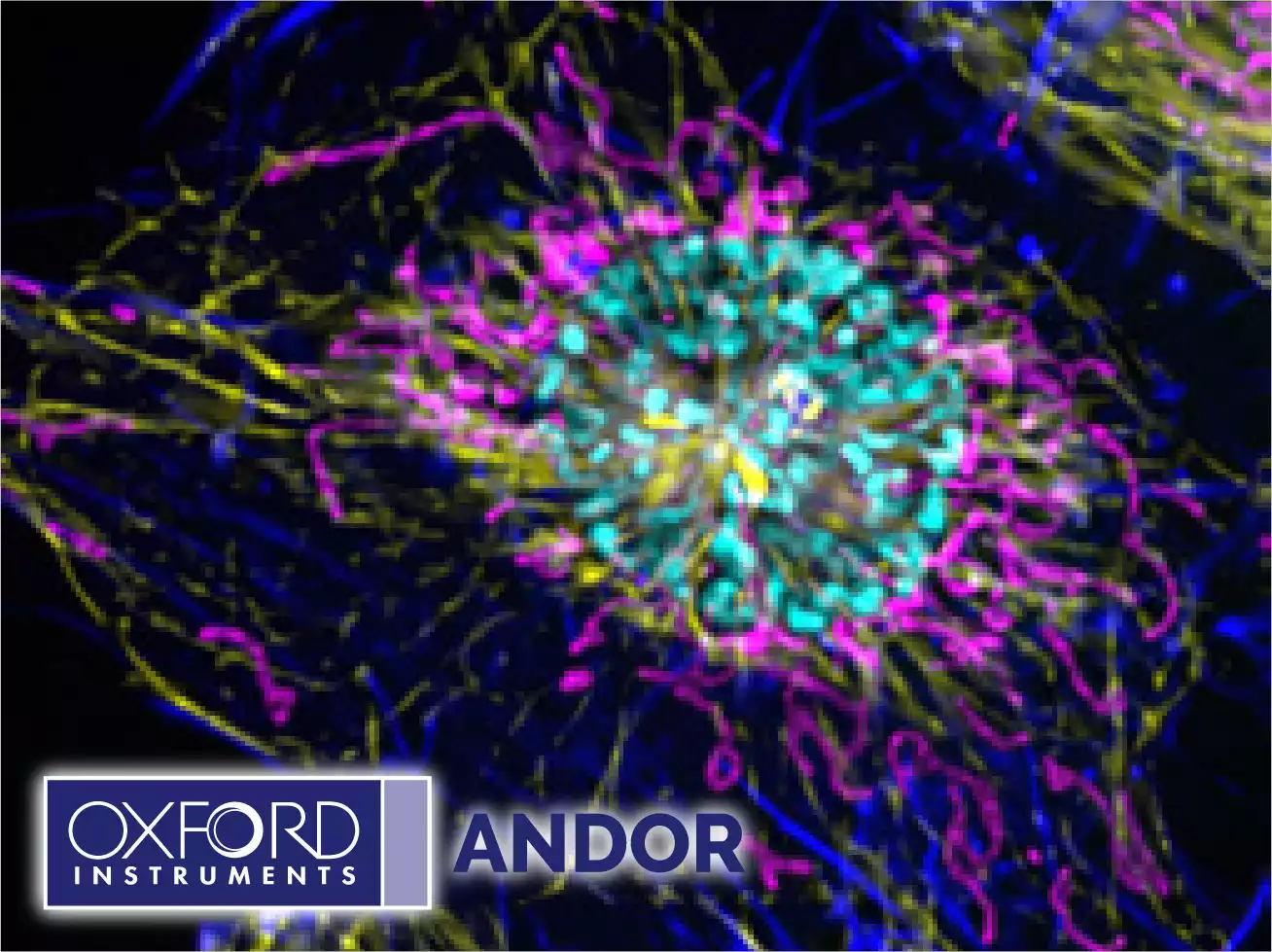 Andor Benchtop Confocal